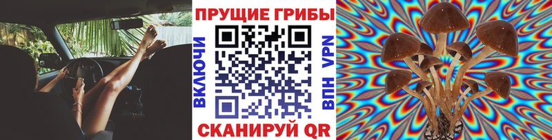 Псилоцибиновые грибы мухоморы  Купить где  Сельцо 