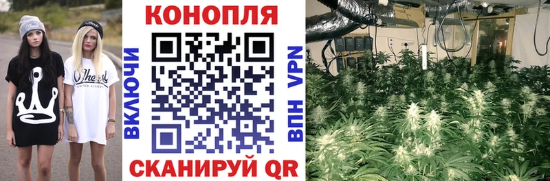 Каннабис Bruce Banner  Купить  Сельцо 